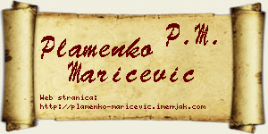 Plamenko Marićević vizit kartica